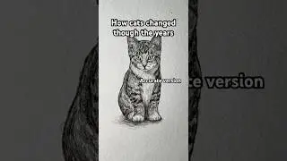 The true cat evolution #catmemes #art #shorts #meowl