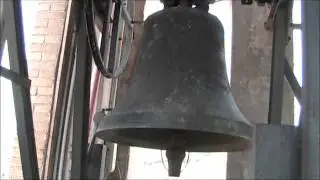Campane della Parrocchia dei SS. Tecla e Maria delle Grazie in Palazzo di Assisi (PG) (02) v.248