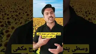 Sunflower seeds sowing time in Central Punjab of Pakistan