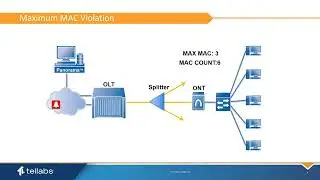 Access Violations and Auto Port Disable in Tellabs Optical LAN