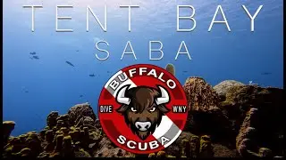 Buffalo Scuba - Tent Bay - Scuba Dive Saba