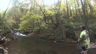 WNC, Scotts Creek Fly Fishing GoPro Footage