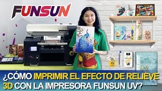 &iquest;C&oacute;mo imprimir el efecto de relieve 3D con la impresora Funsun UV?