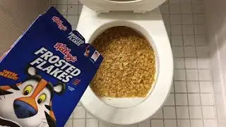 Will it Flush? - Frosted Flakes