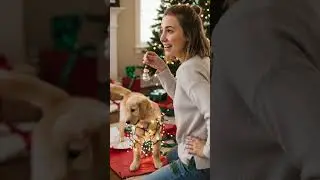 A Christmas Chaos of Love: Dash&rsquo;s Festive Puppy Adventure