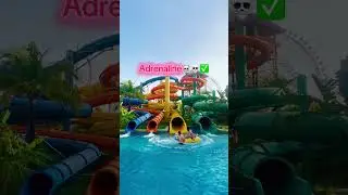 After having fun at the water park, head to the aquarium to watch the mermaid show at Vinwonders PQ