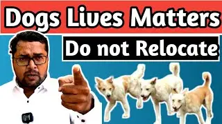 Do not Relocate Dogs Lives Matters #dog #doglove #dogs