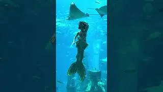 Atlantis-The Palm