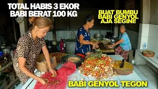 3 EKOR BABI BERAT 100 KG HABIS SEHARI - BABI GENYOL TEGON