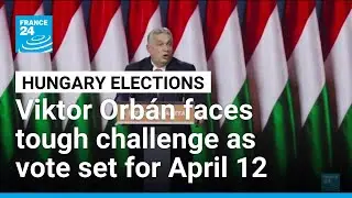 Hungary sets April 12 election date as Orb&aacute;n faces tough challenge &bull; FRANCE 24 English