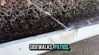 Pressure Washing in Lake Elsinore, CA | Reinmanpro