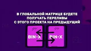 Проект BIN-X