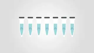 Tips and tricks: Phospho Western Blots