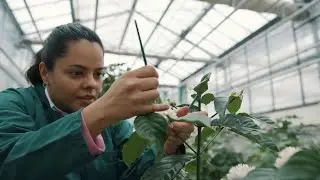 How Nestl&eacute; is futureproofing its coffee business from bean to cup
