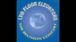 13th Floor Elevators - The Reunion Concert - Full Album