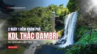 Du lịch Bảo Lộc 2 ngày 1 đêm Khám phá KDL thác Dambri  #dulichbaoloc #thacdambri #2ngày1đêm