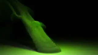 HOUDINI INDIE SIMULATION