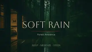 Rain Sounds Outside a Cozy Forest Cabin at Night | Deep Relaxing Ambience
