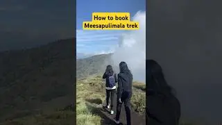 Meesapulimala Trek - How to book details #meesapulimala #trekking #munnar #kerala