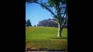 LA MIRADA DISC GOLF LAKESIDE COURSE, HOLE 3,235',PENROSE EV-7 MEDIUM OG PUTTER ANHYZER LINE PARKED.