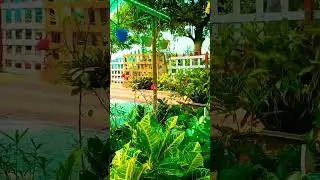 My Village Home Garden 🏡 🌿🍀 🌺