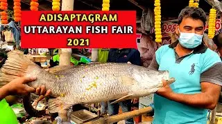 ADISAPTAGRAM UTTARAYAN FISH FAIR || 2021