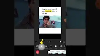how to remove audio from original video using Inshot app