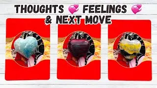 Their Thoughts, Feelings, & Next Move Toward You Pick a Card Love Reading