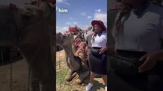 Osheeeee Influencer 😂 Camel ride time! Girls tripping in #Egypt #vacationtime #travelafrica ❤️