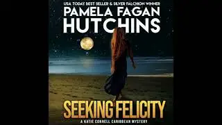 Seeking Felicity (A Katie Connell Texas-to-Caribbean Mystery): A What Doesn't Kill You Romantic