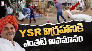 YSR Statue Destroyed in Parvathipuram | Insult the YSR Statue in Parvathipuram | SumanTV