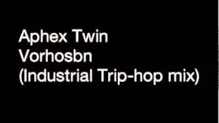 Aphex Twin- Vorbhosbn (Industrial Trip-hop Remix)