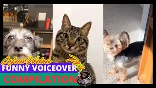 Best Voiceover Compilation pt2
