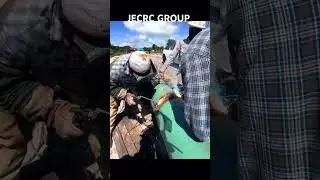 Welding, tranching, lowering, @ #pipelinewelder #excavator