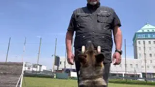 IGP 3 Prova di gara AMON