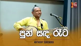 පුන් සඳ රෑට | Pun Sanda Reta by #Anthony_Surendra #mandolin #instrumental