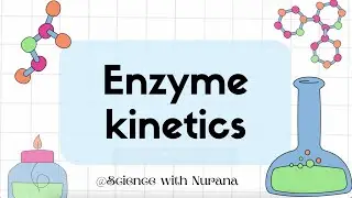 Enzyme Kinetics 2025: Michaelis-Menten & ES Complex Explained with Latest Updates