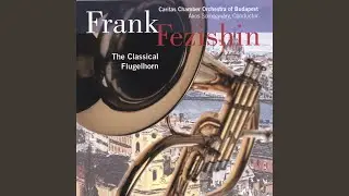 Mozart Horn Concerto No. 3 - Allegro