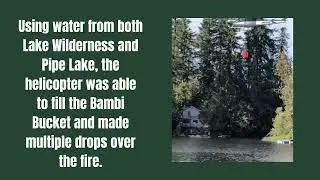 Bambi Bucket