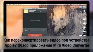 Как переконвертировать видео под устройства Apple? Обзор приложения Miro Video Converter