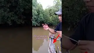 cara muda dan cepat mengunakan ketapel ikan  agar tidak berbahaya #shorts #fishing #ketapelmania