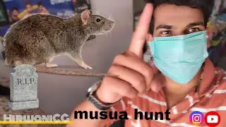 Musua hunt|HirwaniCG|@prachiupadhyayvlogs