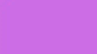 2 Hours   Solid Purple   No Sound
