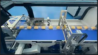 Bakery - Dinamika + Shrinko Plus