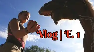 AnKa's Pferde Vlog | 1. Folge Tagesroutine am Stall, Ausritte, Sand auftragen am Reitplatz