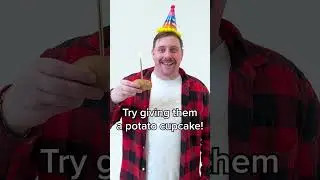 AdVenture Communist | Potato Cupcake
