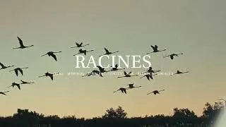 Elitis & LUMA Arles present: Racines