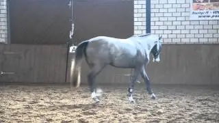 DSC 0109