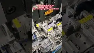 Electrical Terminal Riveting Machine in Bulgaria  Precision Contact Rivet Press