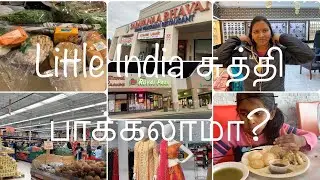 Exploring little India - Edison , New Jersey vlog in Tamil | Indian shopping | awesome experience